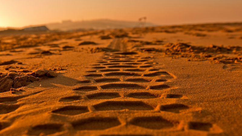 Tyre tracks in sand at sunset